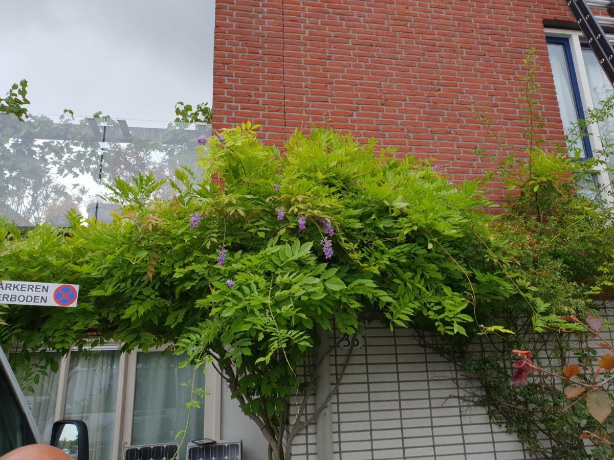 Johan'S B&B, Dakterras & Goedkoop Parkeren - Sinds 2014 Amsterdam Exteriör bild